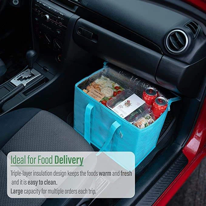 Non Woven Lunch Bag